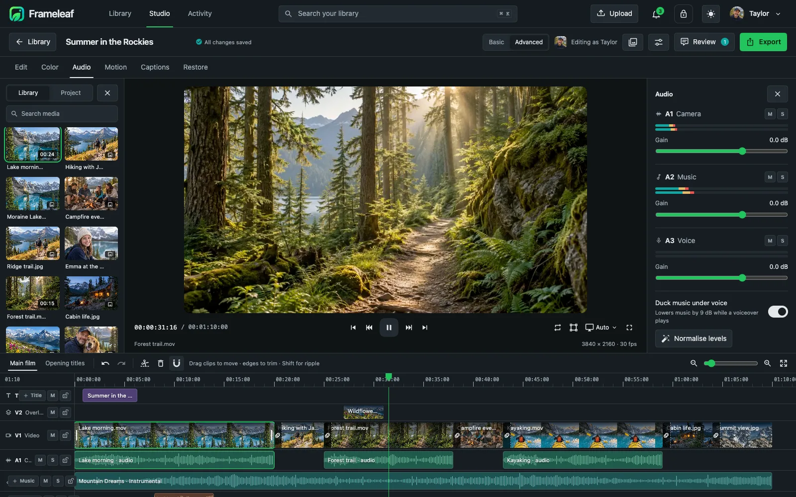 Audio mixer with camera, music and voice tracks