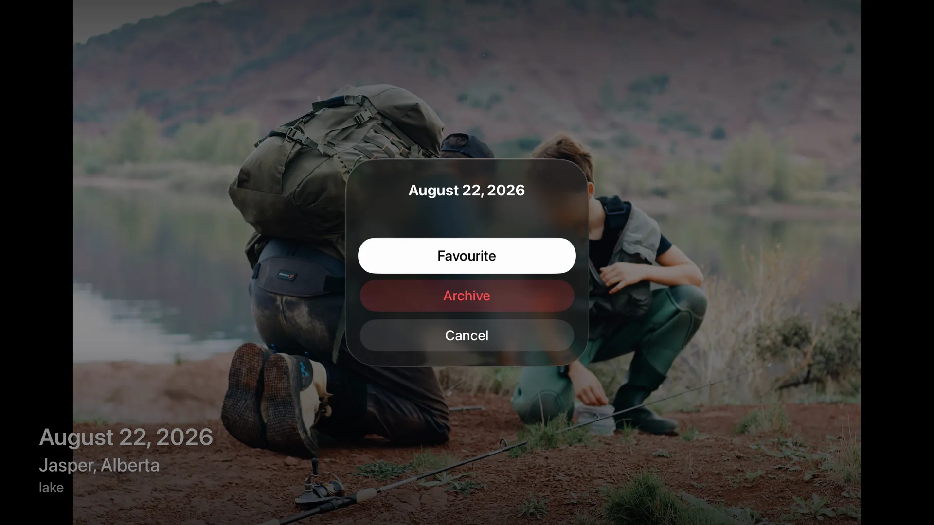 A photo full screen with Favourite and Archive in a menu